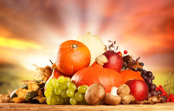 Mushrooms, Apple, grapes, pumpkin, fruit, nuts, vegetables, dry leaves