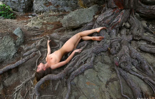 Chest, trees, nature, roots, pose, stones, model, naked