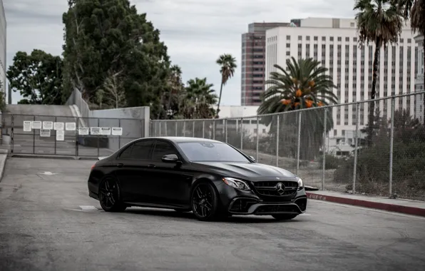 Picture AMG, Black, W213, E63s