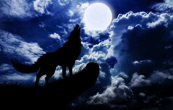 Picture concept, moon, sky, blue, night, background, animal, wolf