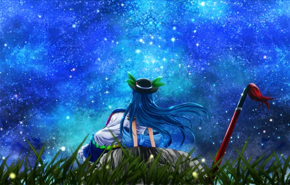 The sky, grass, girl, stars, sword, hat, art, touhou