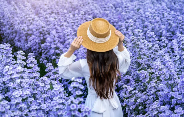 Field, girl, flowers, white, back, hat, dress, brown hair