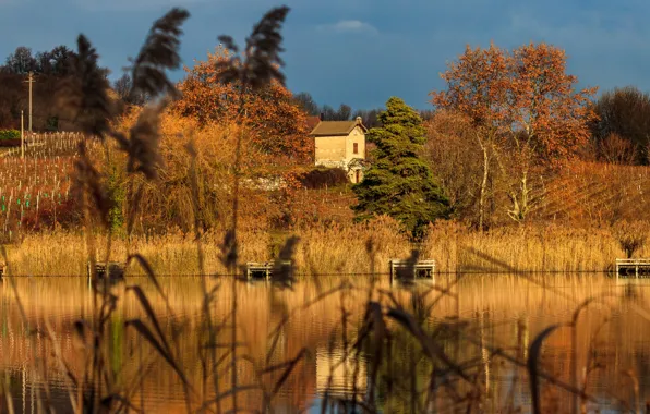 Picture autumn, grass, light, shore, house, pond
