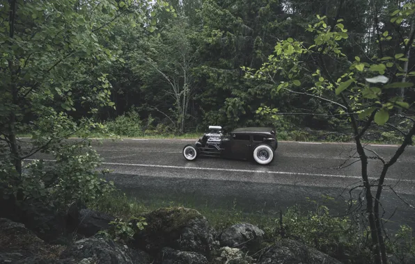 Picture forest, rain, forest, ford, Ford, rain, rat, rod