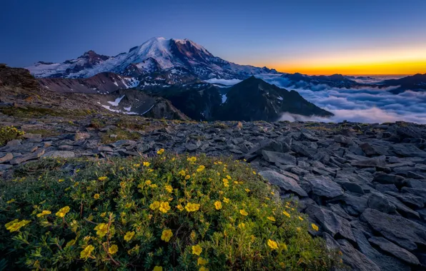 Clouds, sunset, flowers, mountains, blue, stones, yellow, the bushes