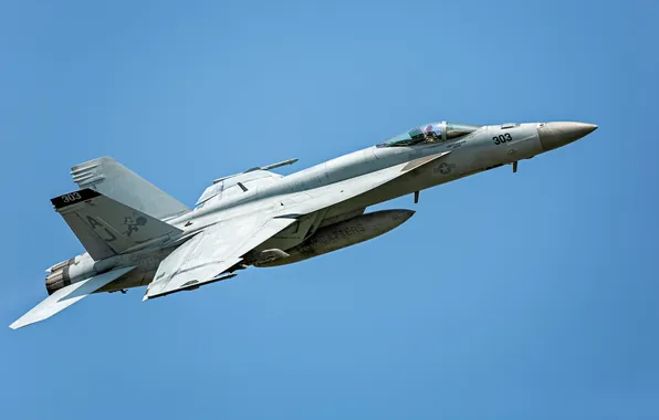 The sky, the plane, flies