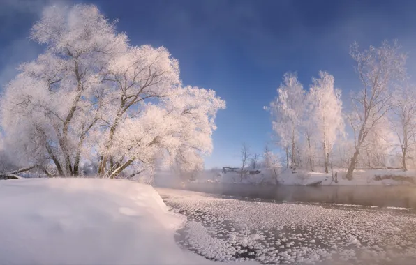 Winter, snow, trees, landscape, nature, river, Istra, Alexey Bagaryakov