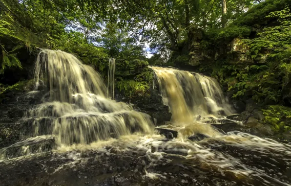 Trees, river, England, waterfall, cascade