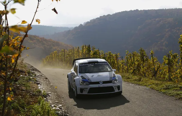 Picture Road, Volkswagen, Day, WRC, Rally, Rally, Polo, Polo