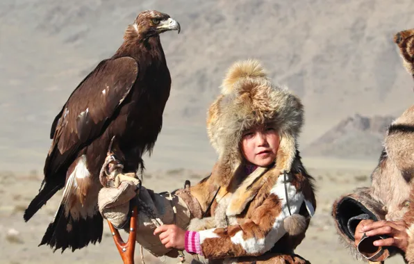 Picture BIRD, HUNTING, EAGLE