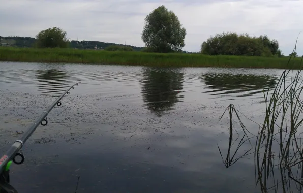 Summer, fishing, River, rod