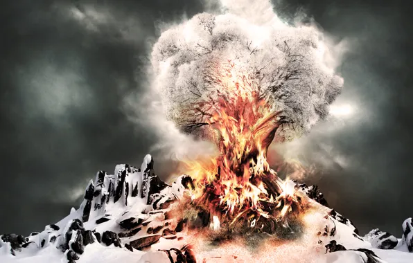 Snow, tree, fire