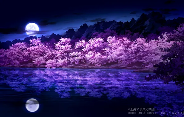 Night, lake, spring, Sakura, flowering, Touhou Project, Project East