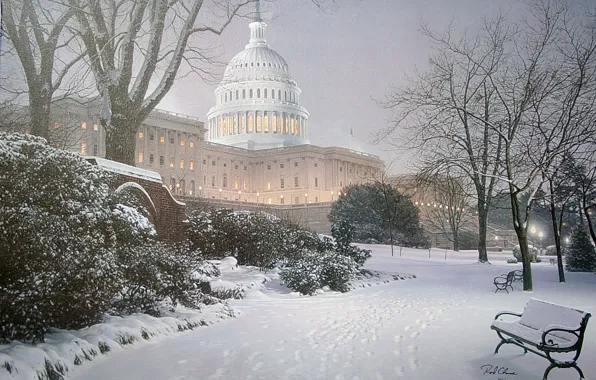 Picture winter, light, snow, Park, lighting, hill, lights, Washington
