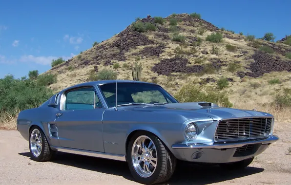 Picture Mustang, Ford, 1967, Fastback