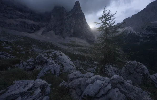 Clouds, light, trees, mountains, clouds, nature, rocks