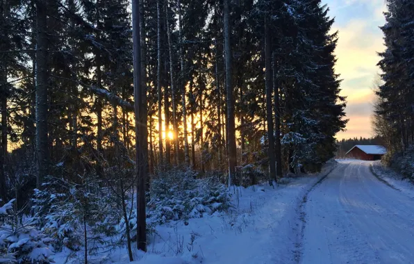 Picture house, forest, road, winter, Southern Finland