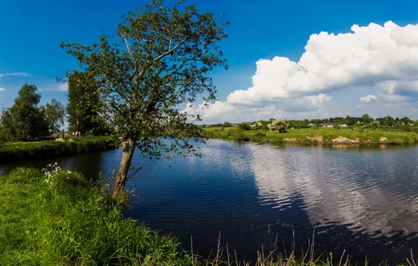 Summer, the sky, grass, clouds, trees, lake, shore, UK