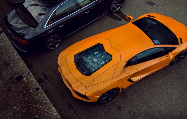Picture Audi, Lamborghini, black, orange, Aventador, LP 700-4