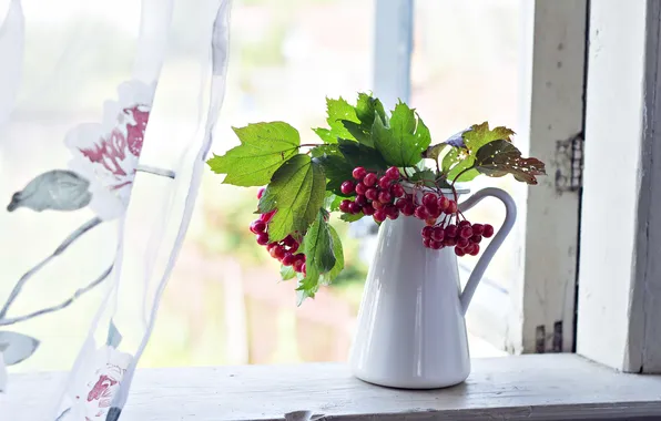 Flowers, nature, still life
