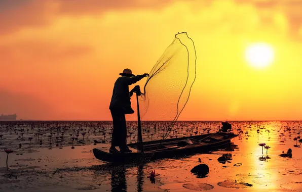 Picture summer, the sun, flowers, lake, reflection, fisherman, mirror, solar