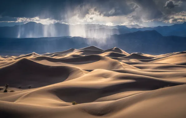 Landscape, nature, Hot Day, Desert dunes