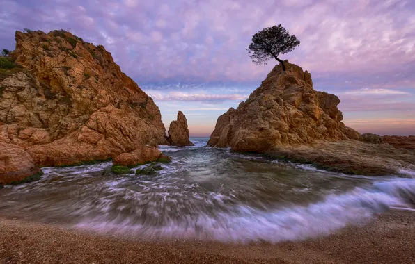 Sea, beach, tree, rocks, Spain