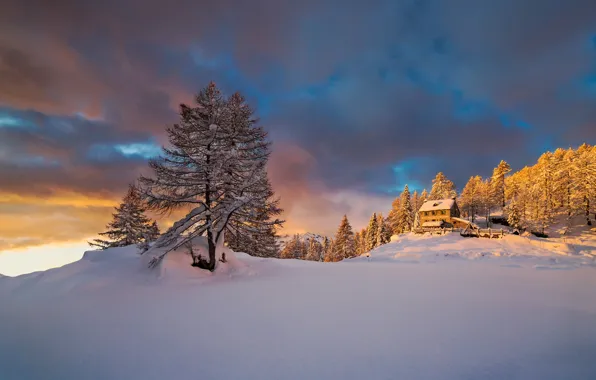 Winter, light, snow, mountains, morning, Alps, Italy, January