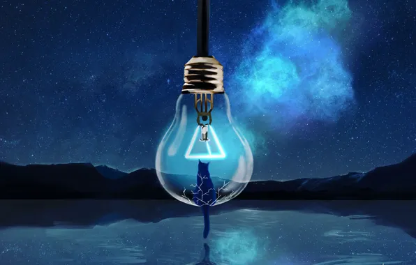 Cat, the sky, water, night, nature, light bulb