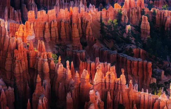 Picture light, nature, rocks, canyon, USA