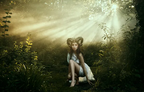 Forest, look, girl, the sun, rays, light, decoration, fog