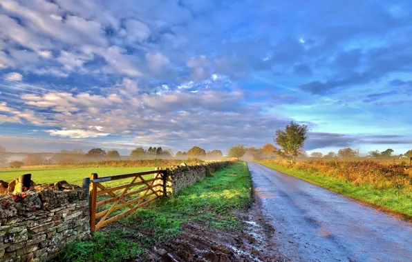 Picture road, landscape, the fence, morning