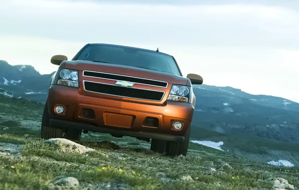 Chevrolet, Orange, Sky, Grass, Green, Front, Saw, 4x4