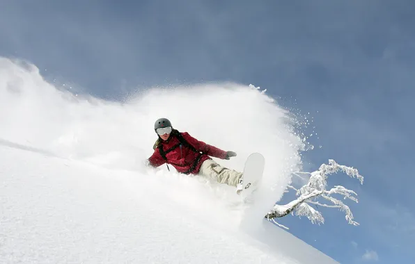 Picture winter, snow, mountains, tree, snowboard, the descent