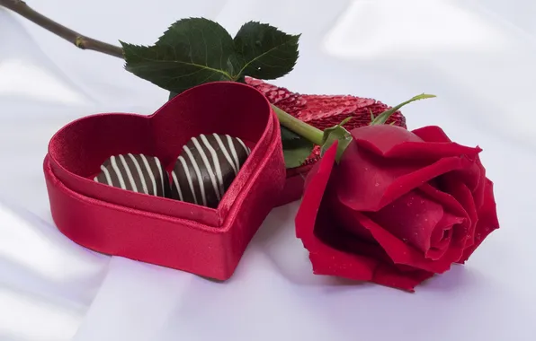 Gift, rose, chocolate, candy, red, box
