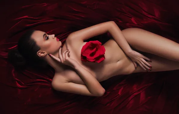 BODY, BRUNETTE, RED, FABRIC, FIGURE, ROSE