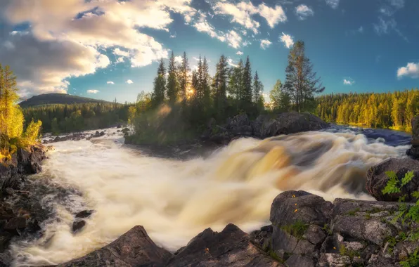 Forest, trees, river, island, waterfall, Russia, the threshold, Karelia