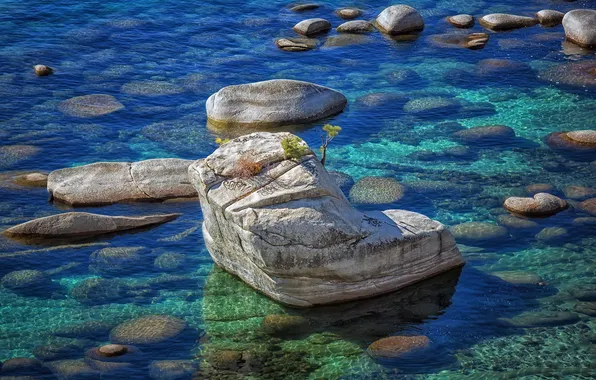 Picture nature, rock, lake, stones, Lake Tahoe, Bonsai Rock