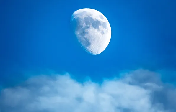 Picture the sky, clouds, the moon, satellite