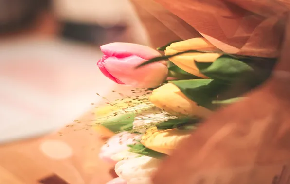 Flowers, bouquet, tulips