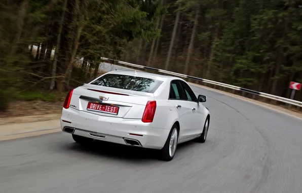 Cadillac, CTS, sedan