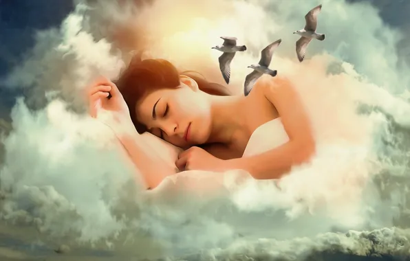 Picture girl, clouds, birds, fantasy, mood, seagulls, sleep, treatment