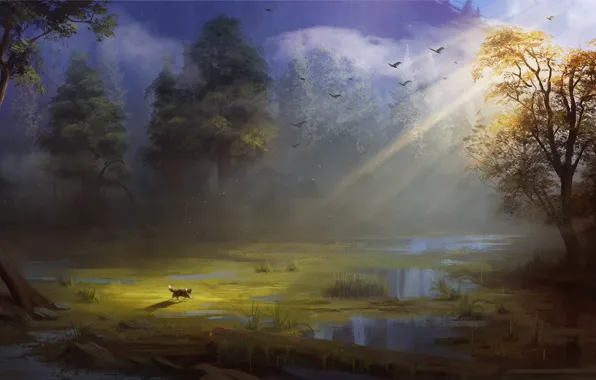 Forest, cat, the sun, birds, swamp, artist, Andrew Biological, cat's journey