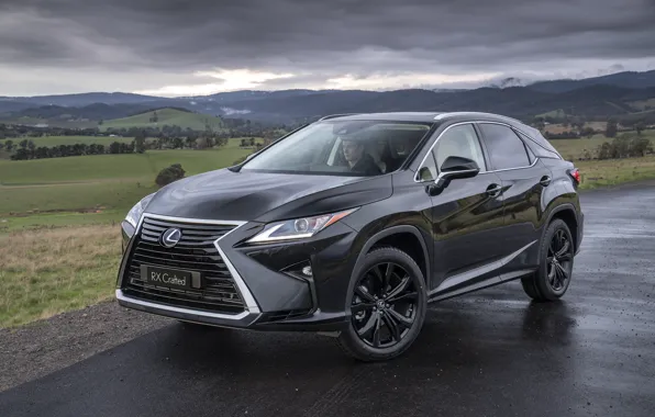 Lexus, RX 350, 2019, Crafted
