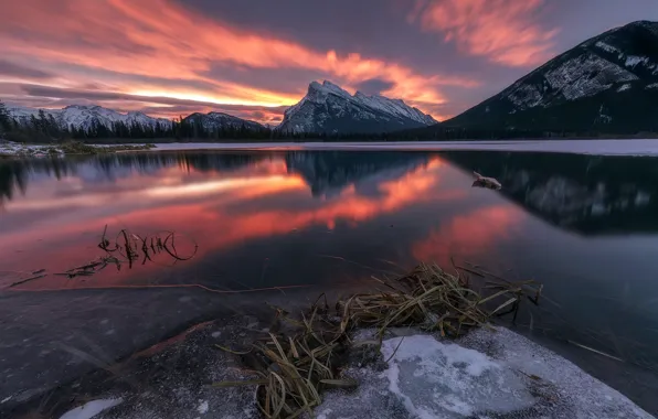 Mountains, night, lake