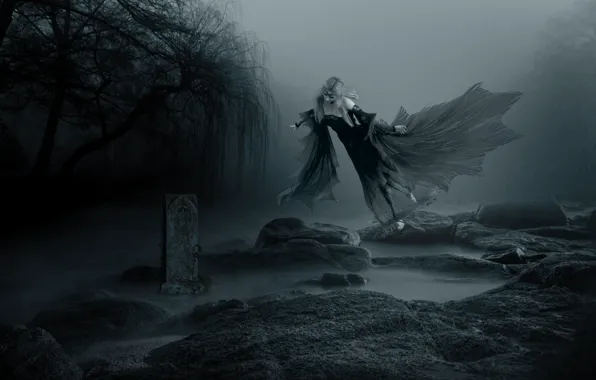 Autumn, water, trees, flight, night, branches, fog, stones