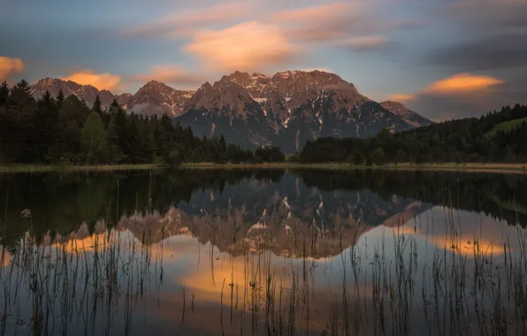 Forest, the sky, water, clouds, landscape, mountains, nature, lake