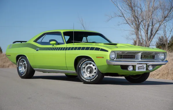 Picture Green, 1970, Plymouth, Cuda