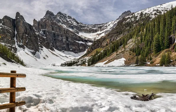 Ice, winter, forest, snow, landscape, mountains, lake, rocks