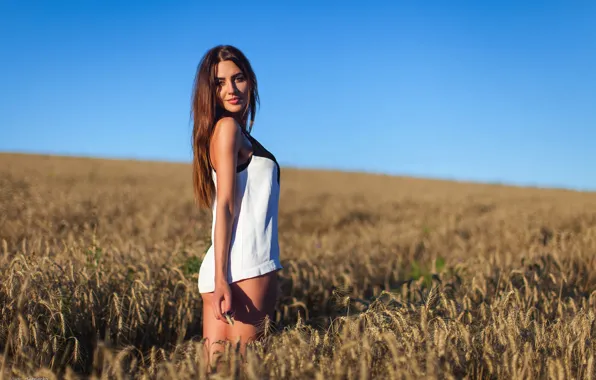 Picture wheat, field, the sky, girl, nature, model, figure, legs